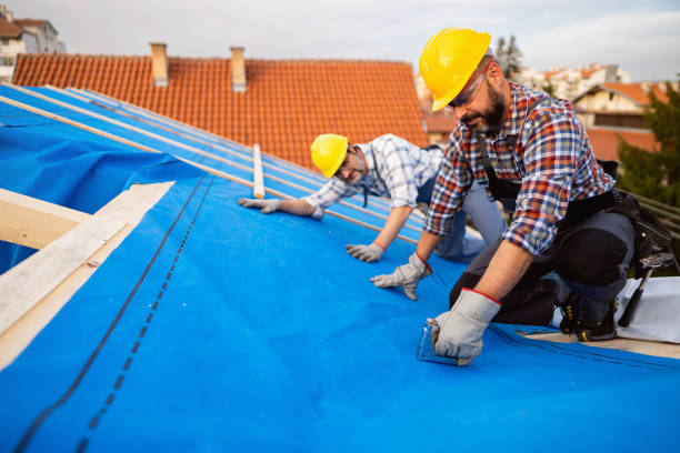 Best Storm Damage Roof Repair  in South Woodstock, CT
